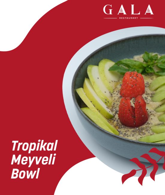 tropikal grafik